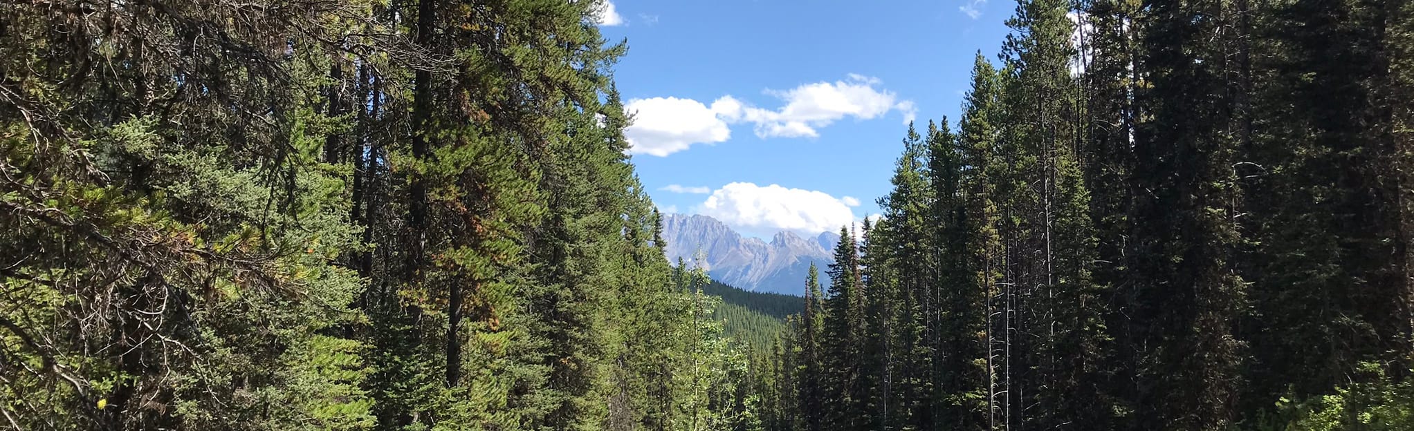 Mount Warspite 10 Reviews, Map Alberta, Canada AllTrails