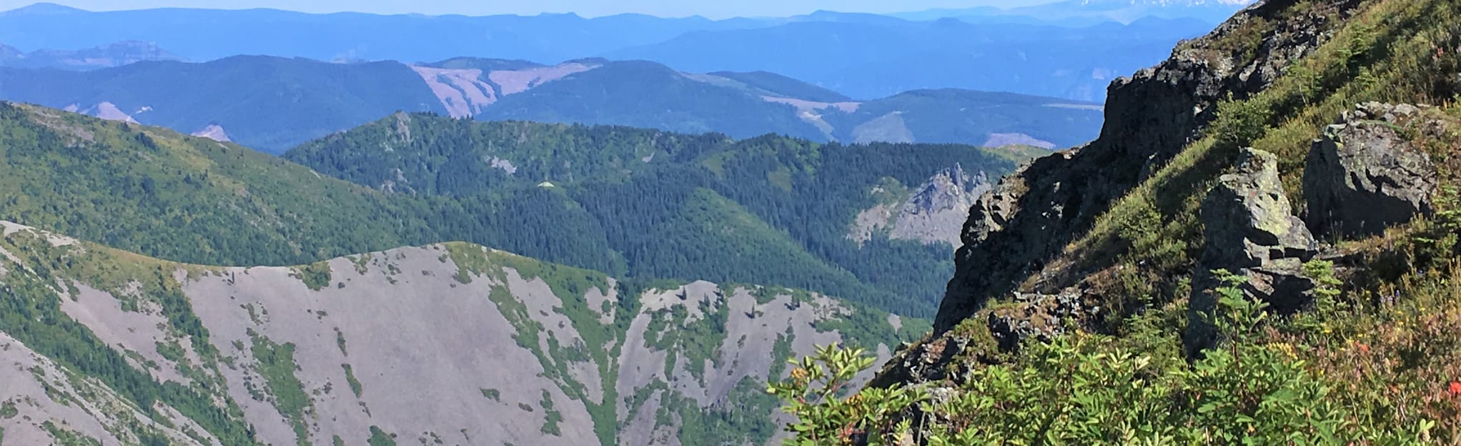 Grouse Vista, Silver Star Mountain, Chinook, and Tarbell Trails Loop