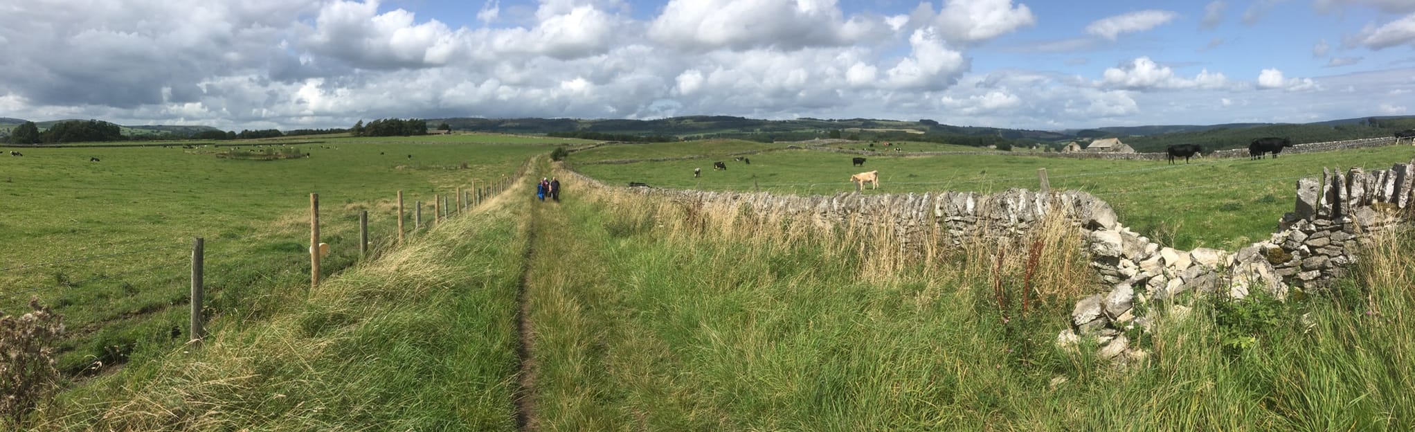 Monsal Head and Wyedale, Derbyshire, England 54 Reviews, Map AllTrails