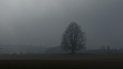 Waldwanderung Wartenberg - Große Runde
