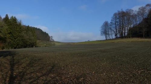 Waldwanderung Wartenberg - Große Runde
