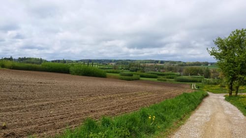 Kloster Scheyern Rundwanderung