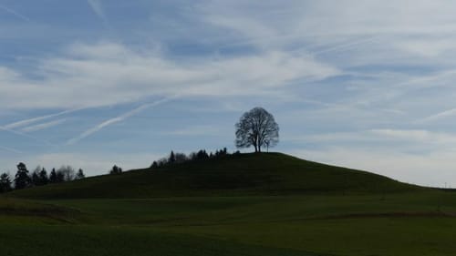 Pupplinger Au Rundweg