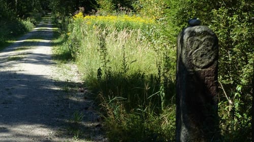 Tann bei St. Wolfgang Wanderung