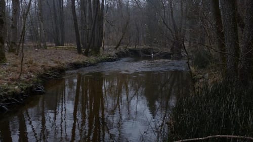 Windach - Steinebach - Finning