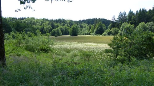 Mitterdarching (Bahnhof) nach Miesbach