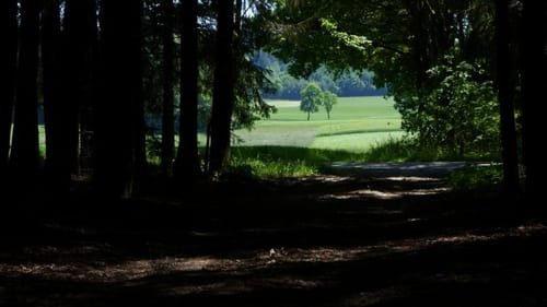 Zwischen Oberroth, Sulzemoos und Kreuzholzhausen