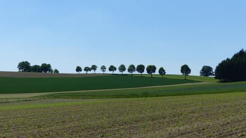 Zwischen Oberroth, Sulzemoos und Kreuzholzhausen