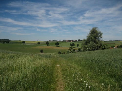 Allershausen - Bernstorf -Kranzberg - Schönbichl