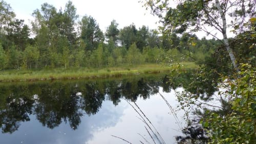Haspelmoor Rundweg
