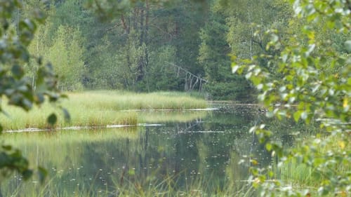 Haspelmoor Rundweg