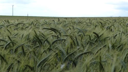 Altomünster Rundwanderung