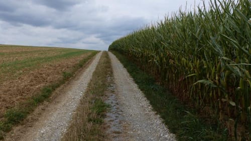 Zwischen Isar und Amper bei Haag i.Obb.