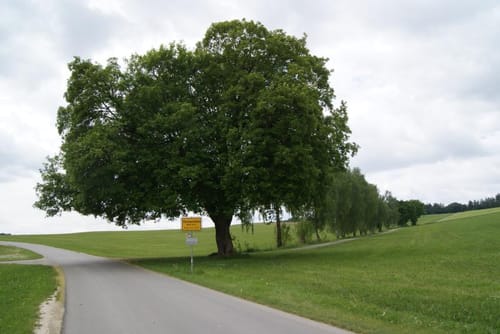 Christertshofen - Rennertshofen (Kreis Neu-Ulm Tour Nr. 20)