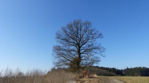 Von Bergkirchen nach Machtenstein