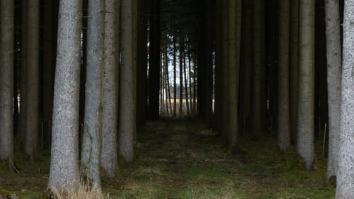 Sulzemoos und Rottbach Wanderung