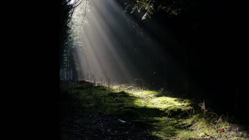 Nandlstadt Rundwanderung