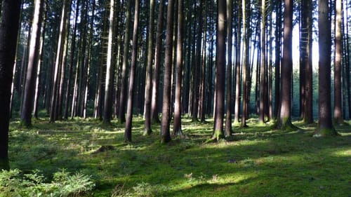 Nandlstadt Rundwanderung
