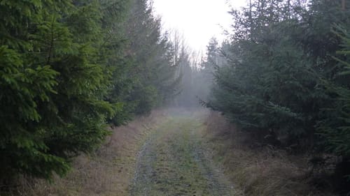 Nandlstadt Rundwanderung