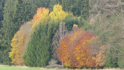 Eichenau - Fürstenfeld