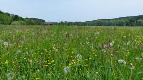 Von Grafrath nach Fürstenfeldbruck