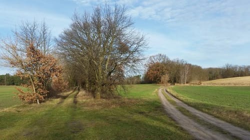 Mellensee Rundweg und Boden-Geo-Pfad