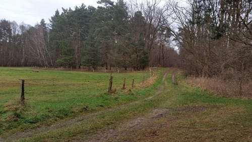 Mellensee Rundweg und Boden-Geo-Pfad