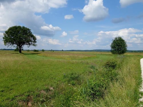 Gothendorf - Biederbach