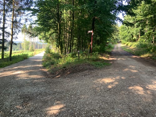 Baumwipfelpfad Bad Iburg