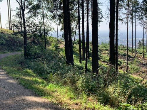Teutoburger Wald: Kammweg und Sachsenweg