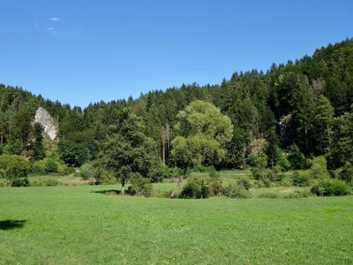 Lauterach-Radweg