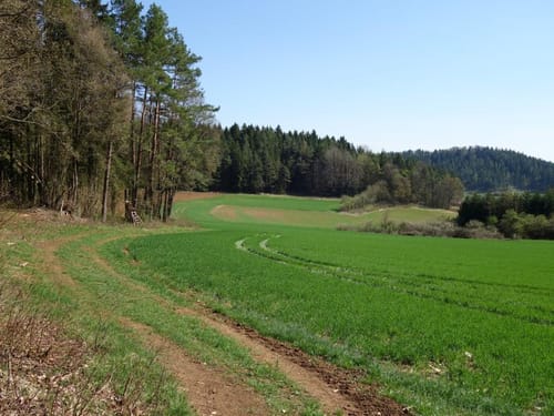 Neuhaus a.d Pegnitz auf die Hohe Zant