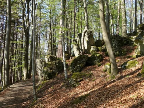Eschenfelden Rundweg 11