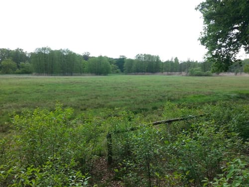 66-Seen-Rundweg Etappe 10: Hangelsberg - Bad Saarow