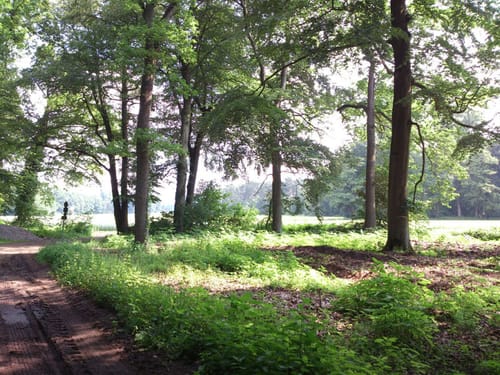 Sythen nach Süskenbrock