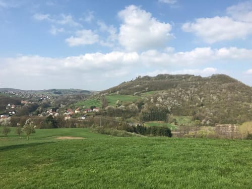 Reichenbach Steegen durch Wildpark Potzberg