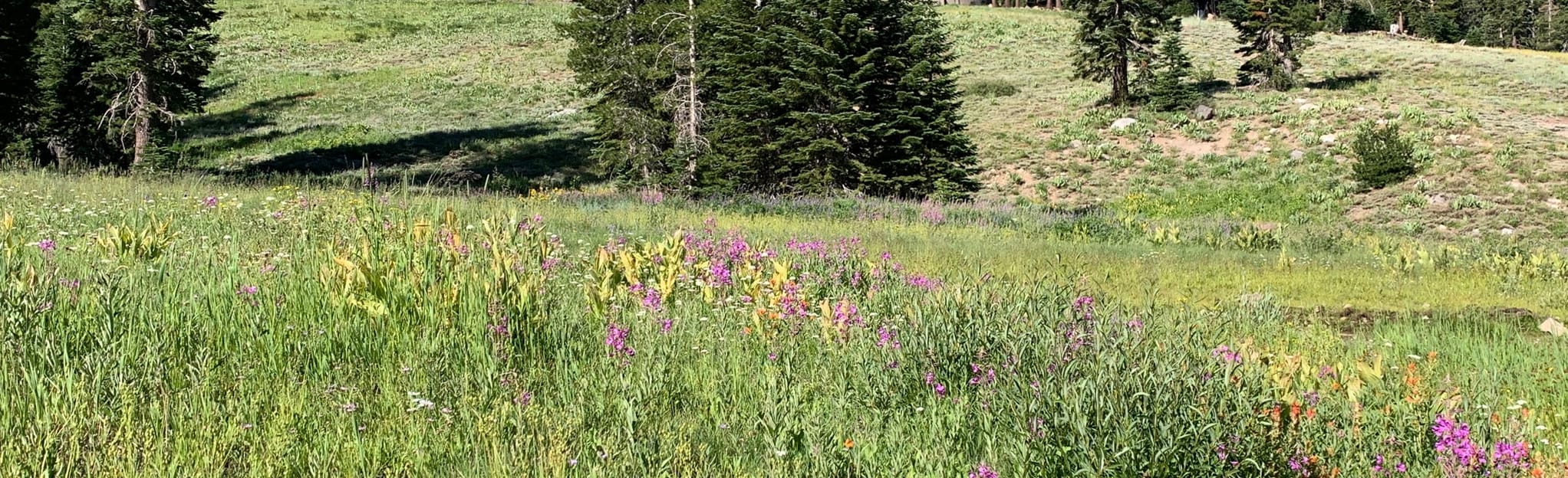 Red Cliffs and Sheps Lake From Kirkwood Village 26 Reviews, Map