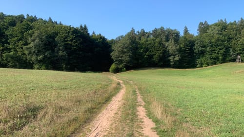 Pfälzer Waldpfad Etappe 5: Rodalben - Merzalben