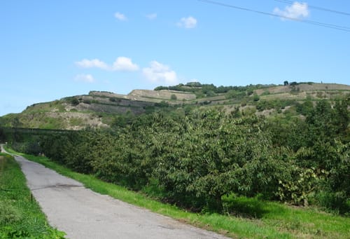 Von Kappel um Kaiserstuhl