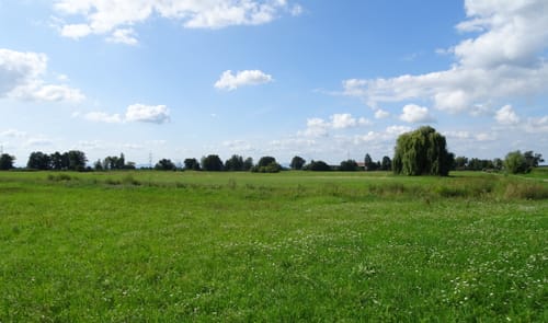 Von Kappel um Kaiserstuhl