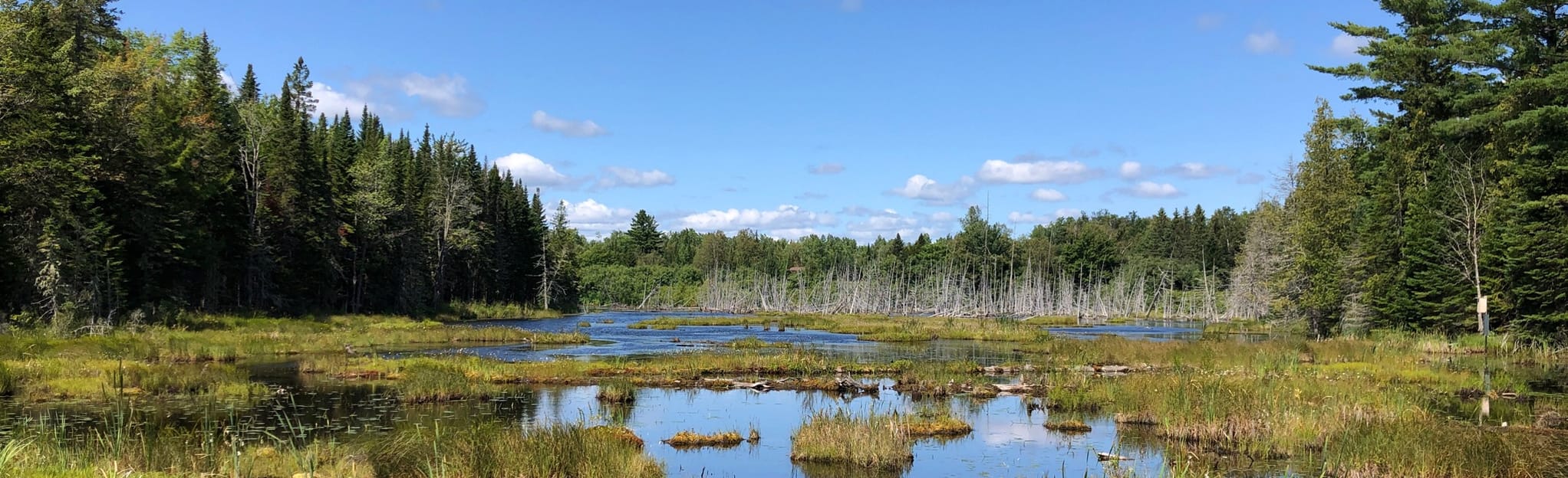 AllTrails Scotch Lake Road and Beaver Pond Trail 24 Reviews, Map