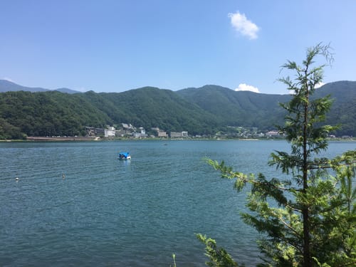 家の近くの川 直ぐ近くの川 - Search / X