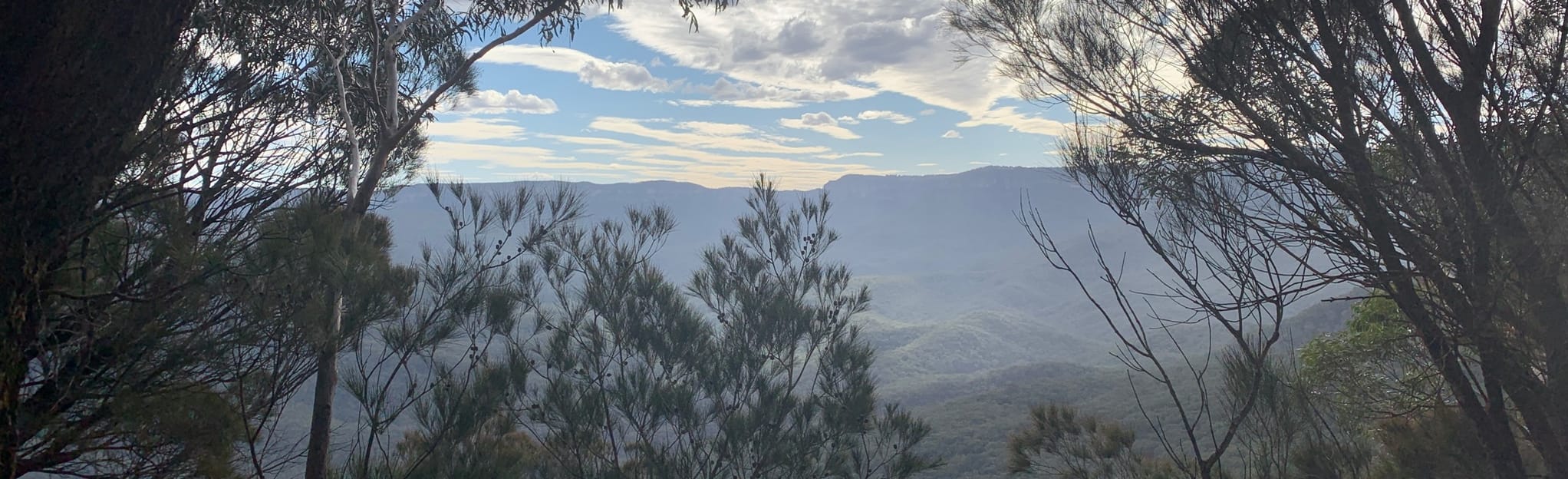 Kedumba Valley, Cedarland Ridge and Mount Solitary Track 247 foto