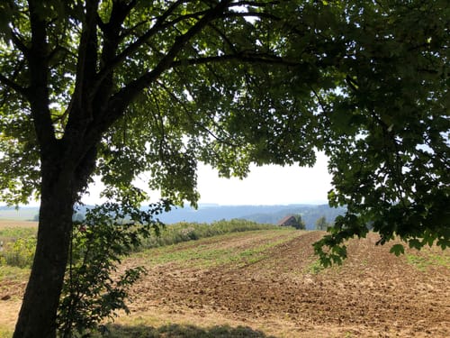 Bondorf, Waldachtal, und Neckartal