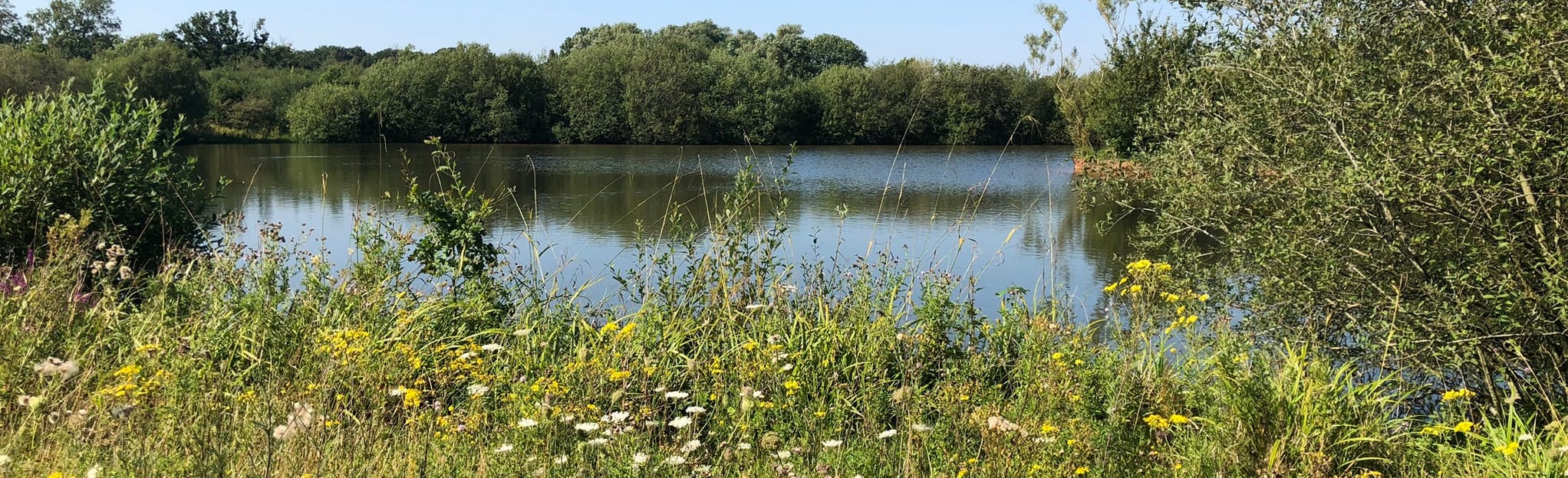 HenleyinArden to Studley Castle Circular 71 Reviews, Map Warwickshire, England AllTrails