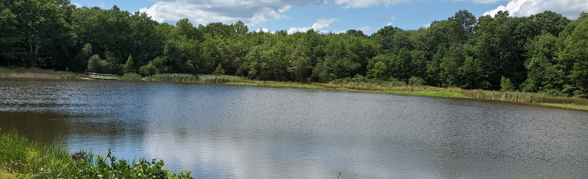 Teetertown to Crystal Springs Preserve, New Jersey 75 Reviews, Map