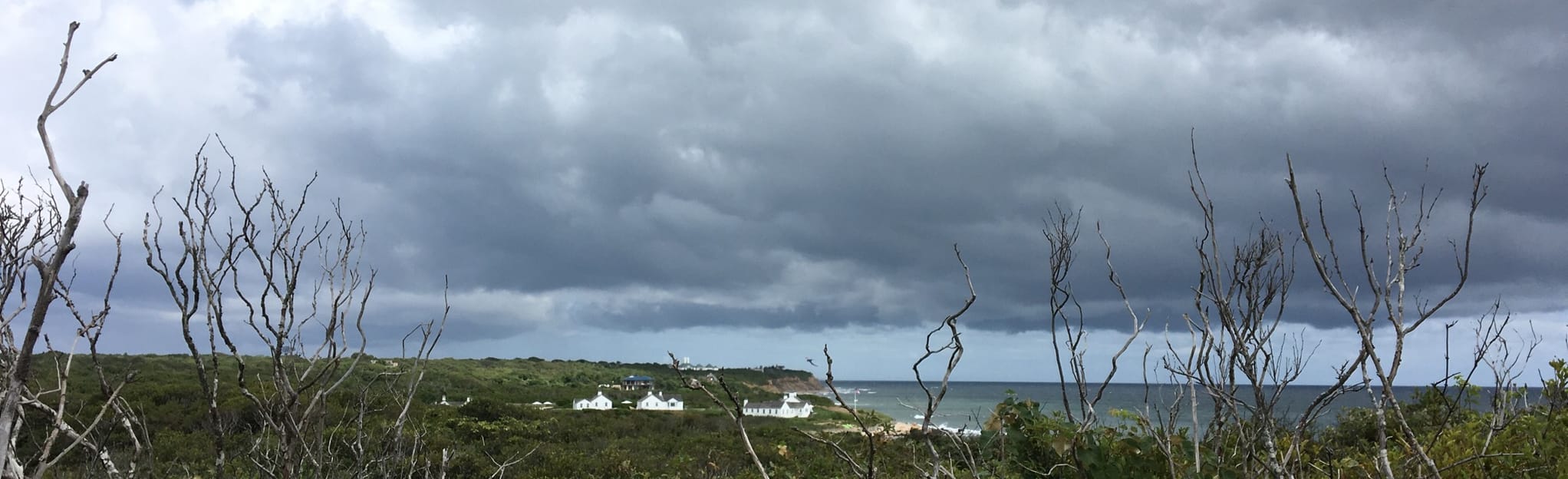 Amsterdam Beach Trail, New York 137 Reviews, Map AllTrails