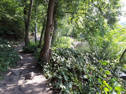 Um den Silbersee und durch den Rabenwald