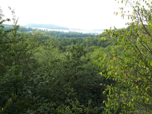 Um den Silbersee und durch den Rabenwald