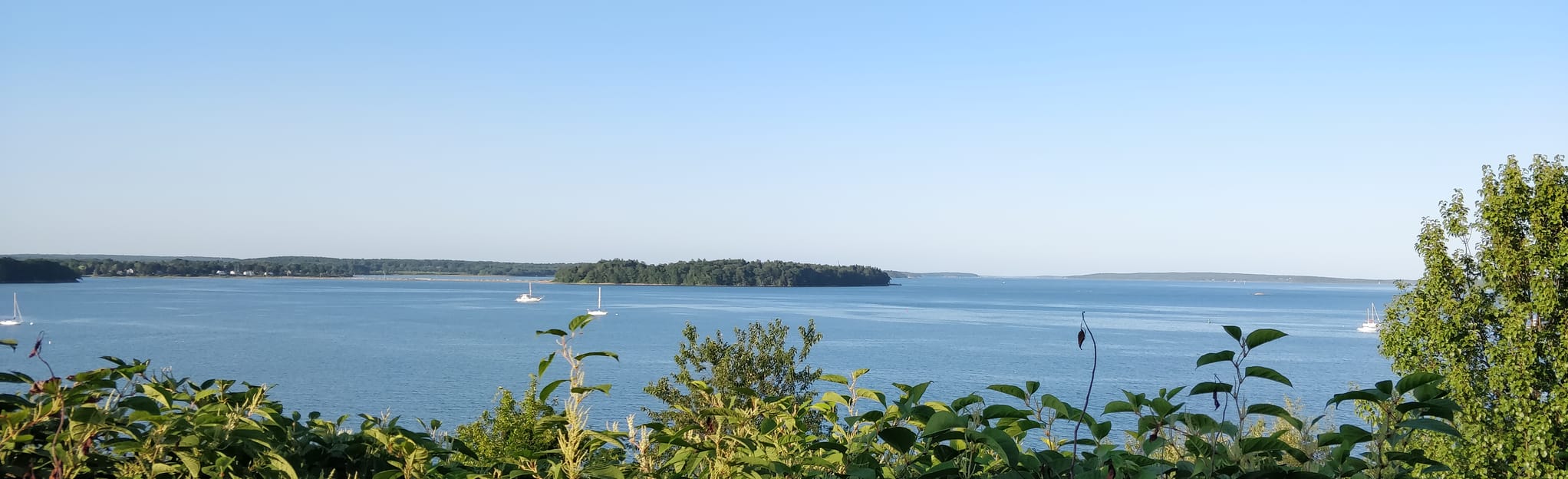 Eastern Promenade and Prom Midslope Trail Loop 302 Reviews, Map